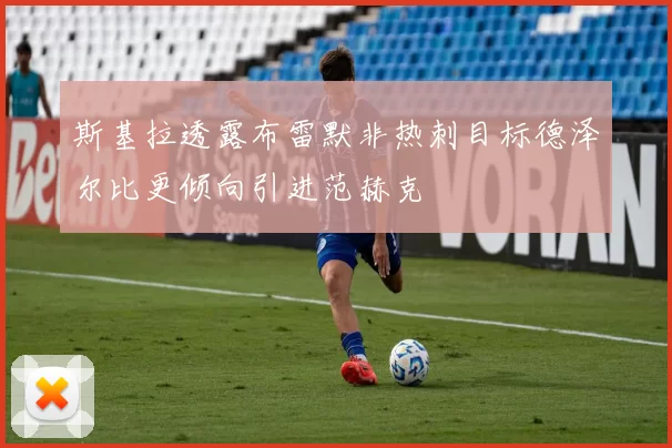 斯基拉透露布雷默非热刺目标德泽尔比更倾向引进范赫克